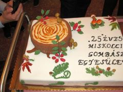 2015.10.20 - Gasztronómiai Est egyesületünk bejegyzésének 25. évfordulója jegyében