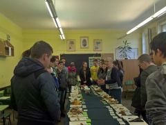 2019.11.06 - Gombabemutató a Serényi Mezőgazdasági Szakközépiskolában, Putnokon