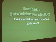 Merthogy voltak érdekességek akkor is!