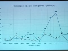 2026.02.23 - A 2025. évi tevékenységünk bemutatása