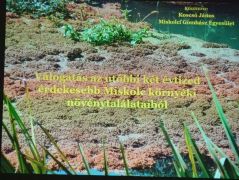 A főcím - ritkán sikerül diát ilyen jól lefotózni