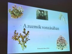 2026.03.23 - A zuzmók vonzásában - Dobronoki Dalma előadása egyesületünkben