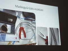 A gyűrűzés kelléktára