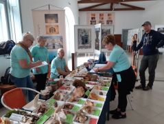 Kipakoltunk, fajlista, jelenléti kész!