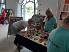 Az első érdeklődő - a szomszéd...