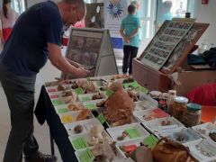 Olyan szép az egész!