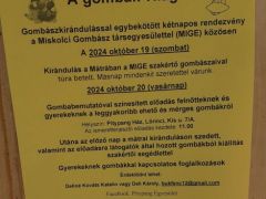 A rendezvény plakátja