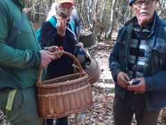 Szaniszlai Éva bronzos vargányája