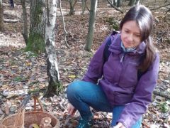 Néhányan csak étkezési gombát szedtek