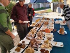 Bőven van mit kitálcáznunk