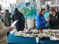 Ami most terem - mert gomba ilyenkor is van