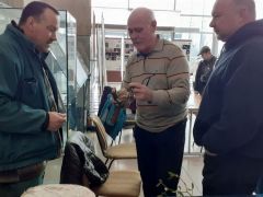 Taplógomba, mint madárfészek