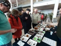 A gombás részleg egy része