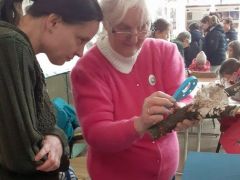 Egy kicsike nagyító is elég lehet csodát látni