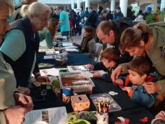 Kifestő, tesztek, gombaépítés...