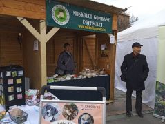 A kiállító magányossága...