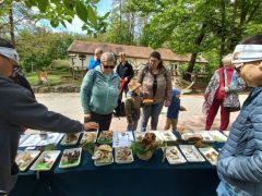 A Vadasparkba mindenki családostól jön