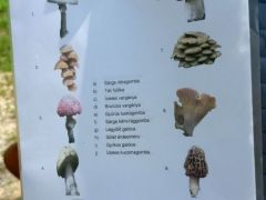 Egyszerű, de nagyszerű