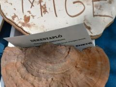 A reklám helye - jó ötlet