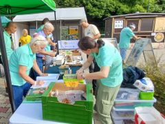 Szakellenőr: a gomba neve; Éva: a cédula száma; Emese: cédula