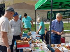 Szortírozzuk a gyűjtőedények tartalmát