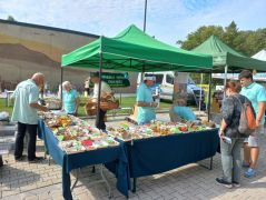 Kipakoltunk, el lehet vinni a kosarakat