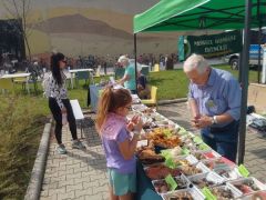 Neked melyik tetszik legjobban?