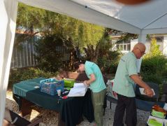 Gomba - regiszter - információs cédula - tálca - mehet az asztalra