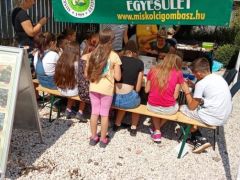 Telt ház a gyermek-foglalkoztatóban