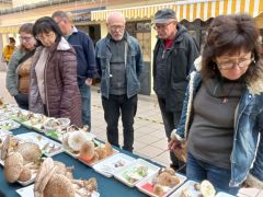 Mészárosék tanfolyami vizsgára készülnek