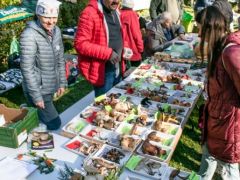 Keményék, Polákné, Juhászék - a stabil mag ezen a rendezvényen