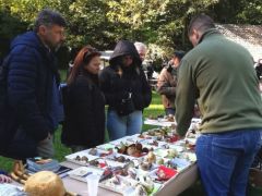 Csodás környezetben, jó hangulatban - Ákos rendezkedik
