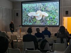 Előadás a téli gombákról - kicsit sűrű a program