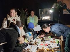 2025.12.13 - Gombakiállítás és foglalkoztatás a Szeleta Látogatóközpont megnyitásának 2. évfordulóján