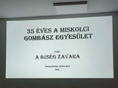 Nevezetes év az idei - megünnepeljük