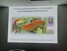 Papp Viktor először tartott előadást nálunk