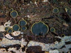 Hazafelé, a Forrás-völgyből