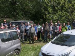 A kocsi tetejéről jobb a kilátás