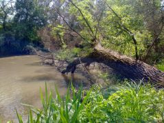 Négyfelé megyünk: ezen- és a túlparton, fel és le