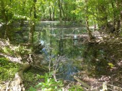 Aki gombát akar szedni...