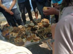 Az asztalt Szakál Szabolcs hozta - Debrecenből