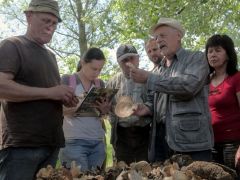 Felváltva határozunk Béres Jánossal