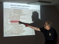 Lendületben a kínai tudósok. Sok-sok új fajt "fedeznek fel".