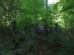 Akik nem nyugodtak bele, hogy nincs víz a Sebesvíz medrében