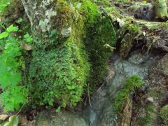 Megérte - feljebb még folydogált