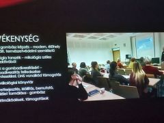 Tudatosság felső fokon