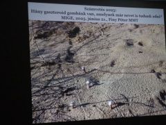 A bevezető dia megadta az alaphangot