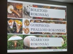 115 hazai faj, plusz 20-25 leírásra vár