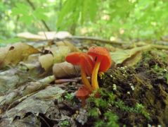 A XIV. Szakmai Nap legszebb találata