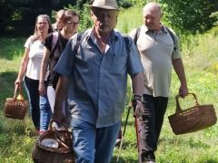 A kezdeti lendület...